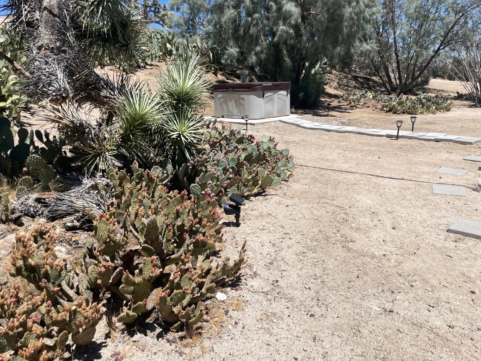 Mojave Desert Pied-A-Terre ยุคคาแวลลีย์ ภายนอก รูปภาพ